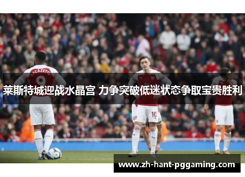 莱斯特城迎战水晶宫 力争突破低迷状态争取宝贵胜利 莱斯特城迎战水晶宫 力争突破低迷状态争取宝贵胜利