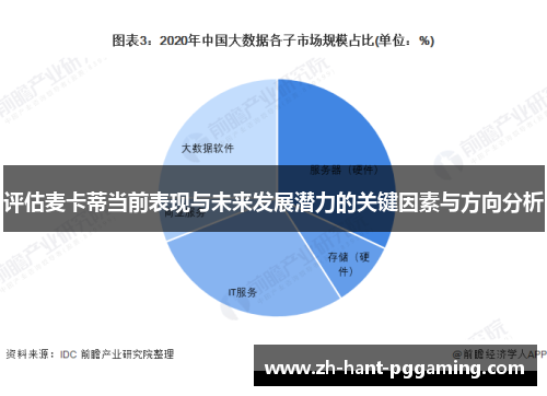 评估麦卡蒂当前表现与未来发展潜力的关键因素与方向分析 评估麦卡蒂当前表现与未来发展潜力的关键因素与方向分析