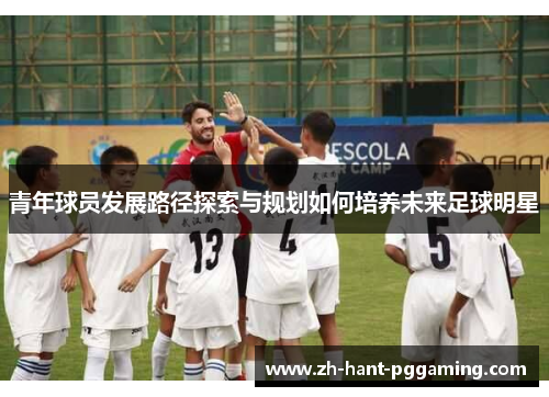 青年球员发展路径探索与规划如何培养未来足球明星