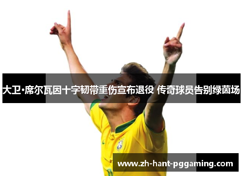 大卫·席尔瓦因十字韧带重伤宣布退役 传奇球员告别绿茵场 大卫·席尔瓦因十字韧带重伤宣布退役 传奇球员告别绿茵场
